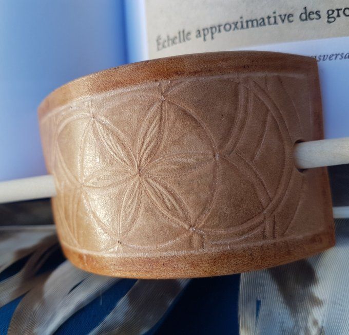 Barrette rosace et volutes