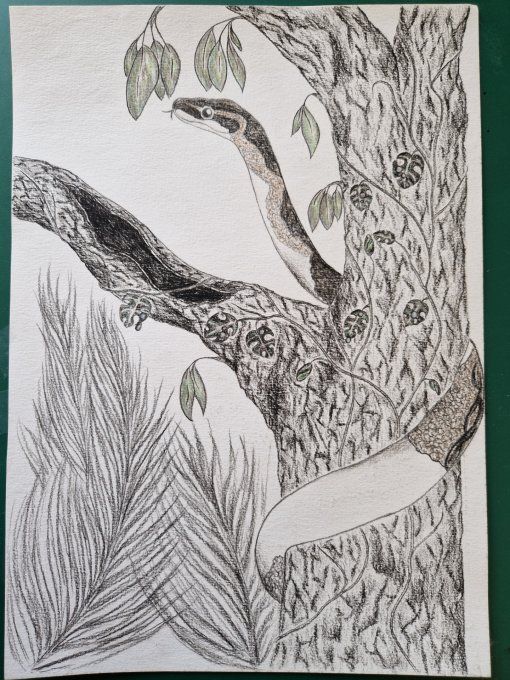 Commande personnalisée Laura