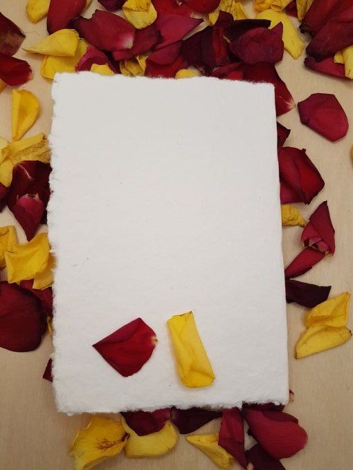 Carte Hirondelles - papier chiffon