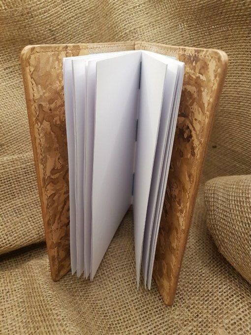 Couvre-livre avec carnet dragon à crête